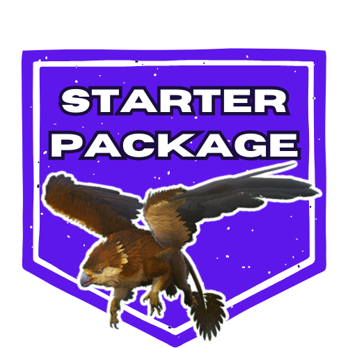 Starter - Flyer