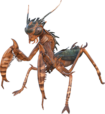 Mantis