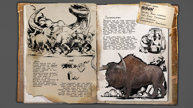 Bison