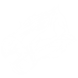 Kentrosaurus Pack 