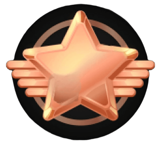 Bronze VIP