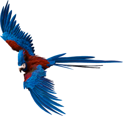 Loro