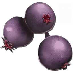 Mejoberries