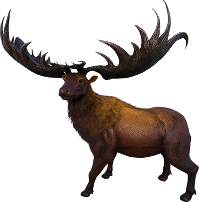 Megaloceros