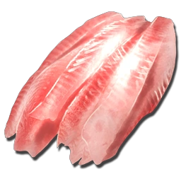 Raw Fish Meat