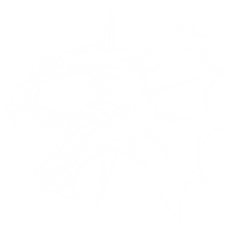 Dilophosaur Pack