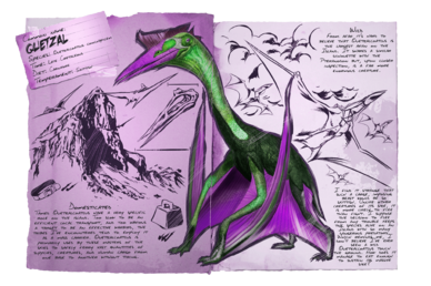 R-Quetzal