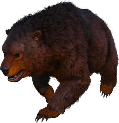 Direbear