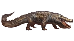 Deinosuchus