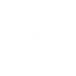 Giganotosaurus Pack