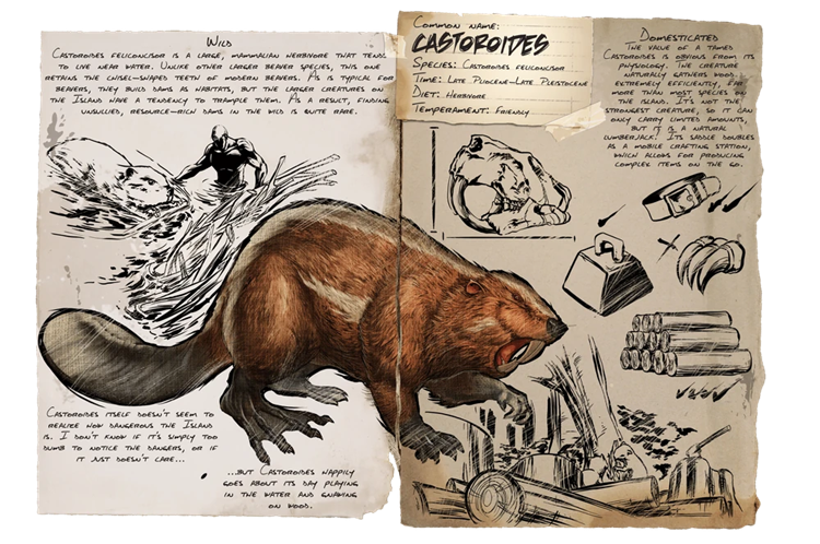 Castoroides