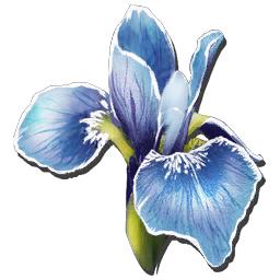 Rare Flower