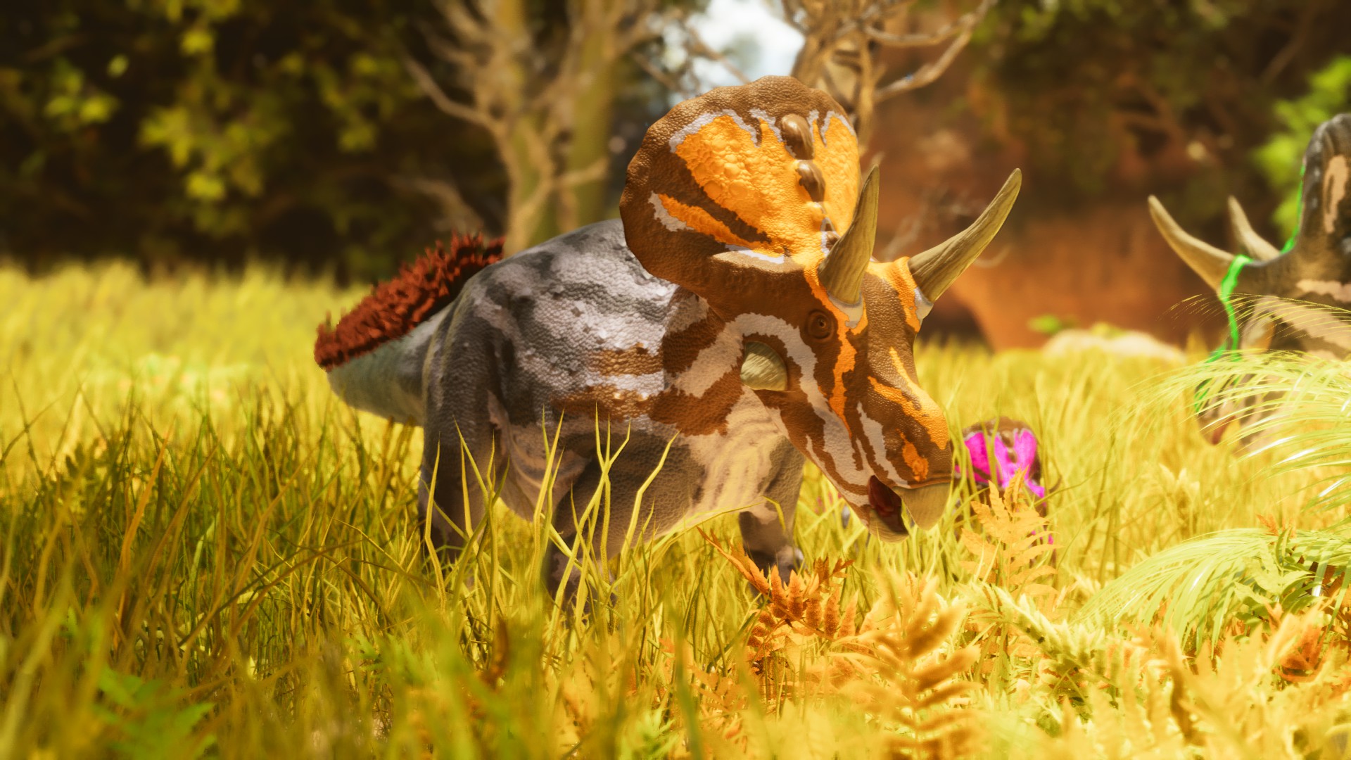Zuniceratops