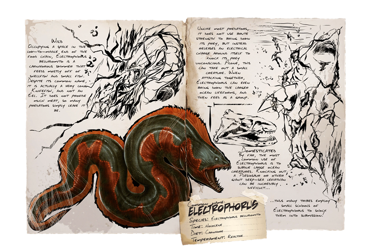 Electrophorus