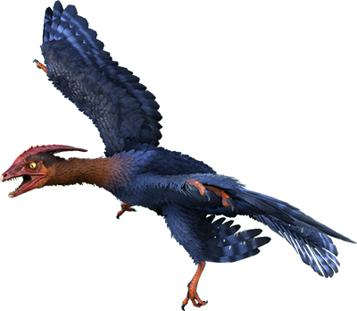 Microraptor