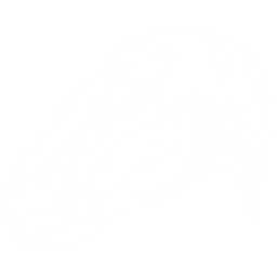 Iguanadon Pack