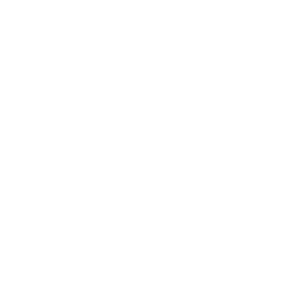 Dimorphodon Pack