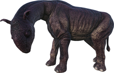 Paraceratherium