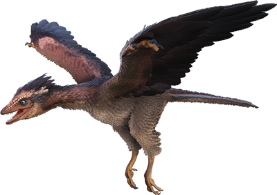 Archaeopteryx