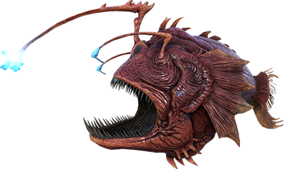 Anglerfish