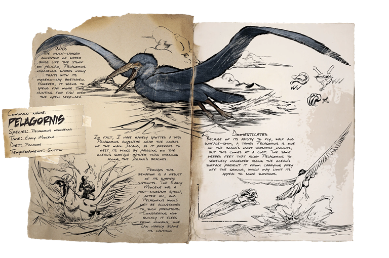 Pelagornis