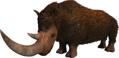 Woolly Rhino