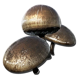 Aggeravic Mushroom