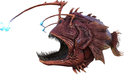 Anglerfish