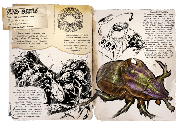 Dung Beetle