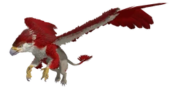 Griffin