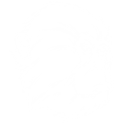 Mesopithecus Pack