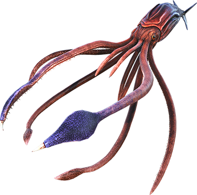Tusoteuthis