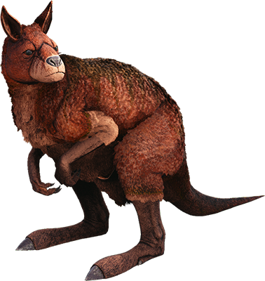 Procoptodon