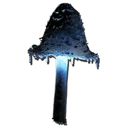 Ascerbic Mushroom