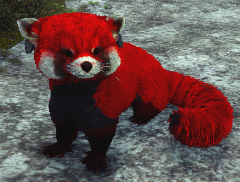 Red Panda