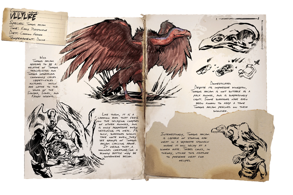 Vulture Pack