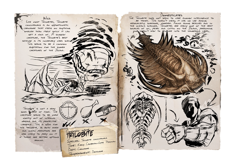 Trilobite