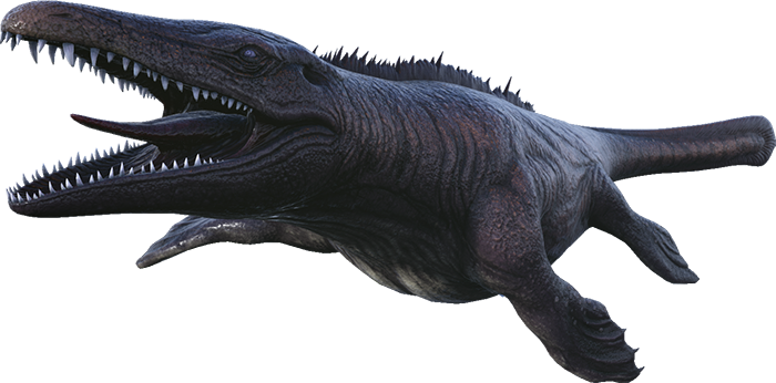 Evo Mosasaurus