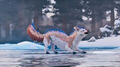 Veilwyn Pack