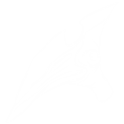 Pteranodon Pack