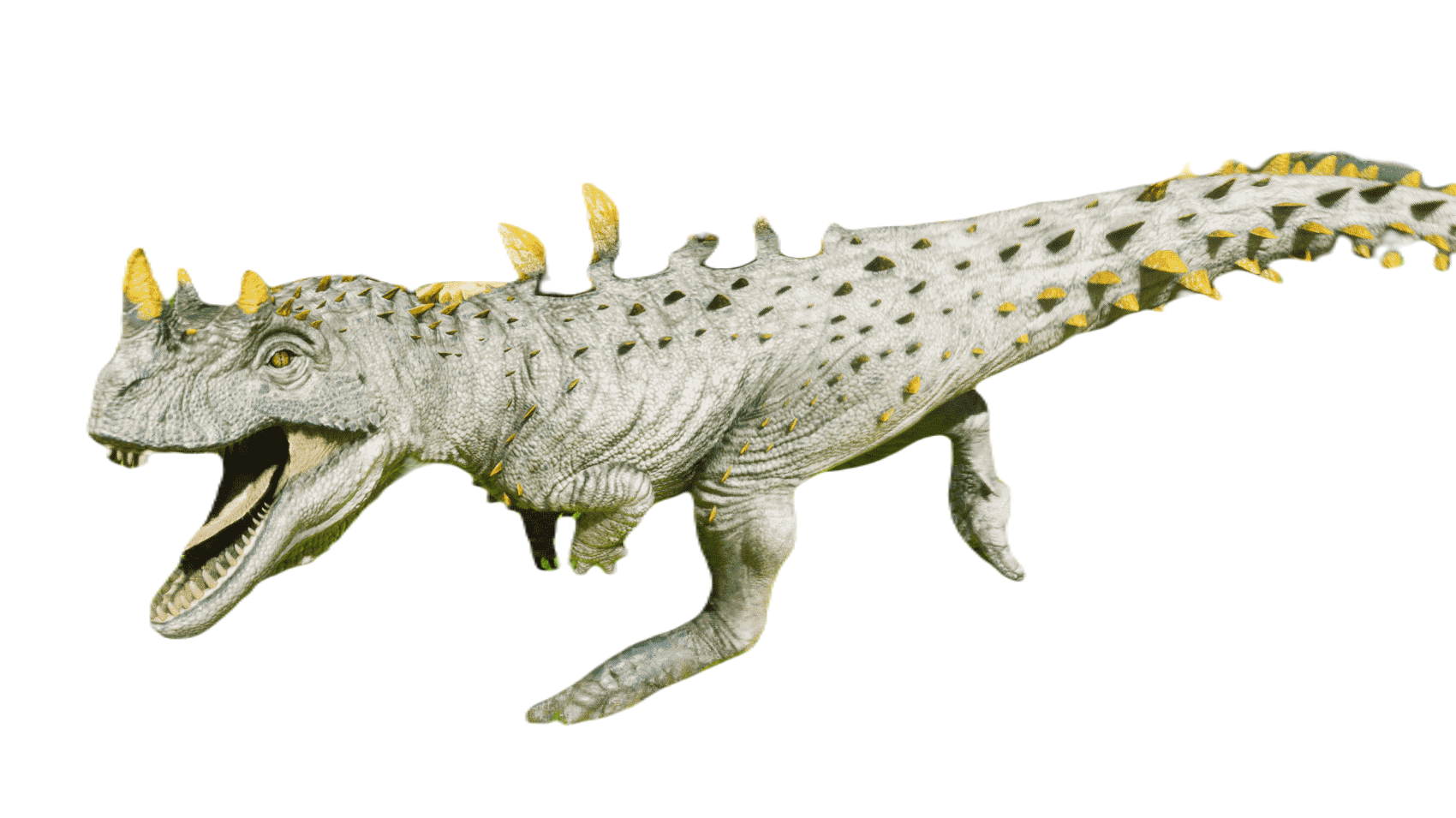 Ceratosaurus