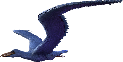 Pelagornis