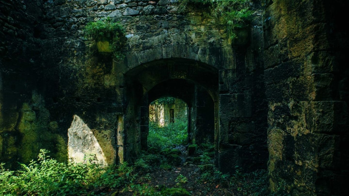 PlanB Decay System