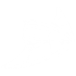 Diplocaulus Pack