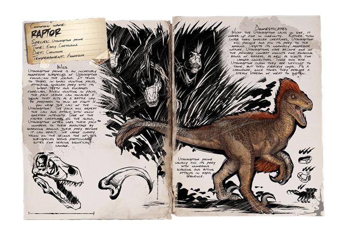 Raptor