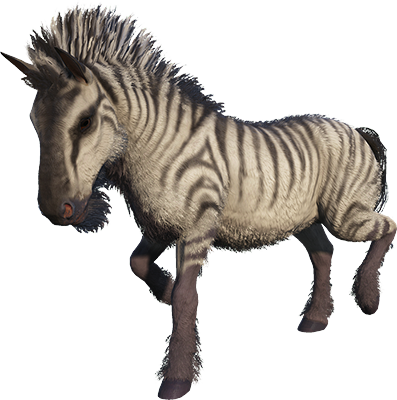 Equus