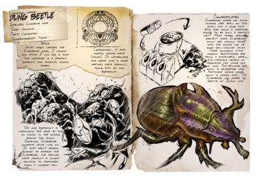 ARKOLOGY Dung Beetle