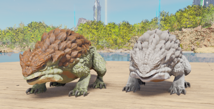 Thorny Dragon breeding pair