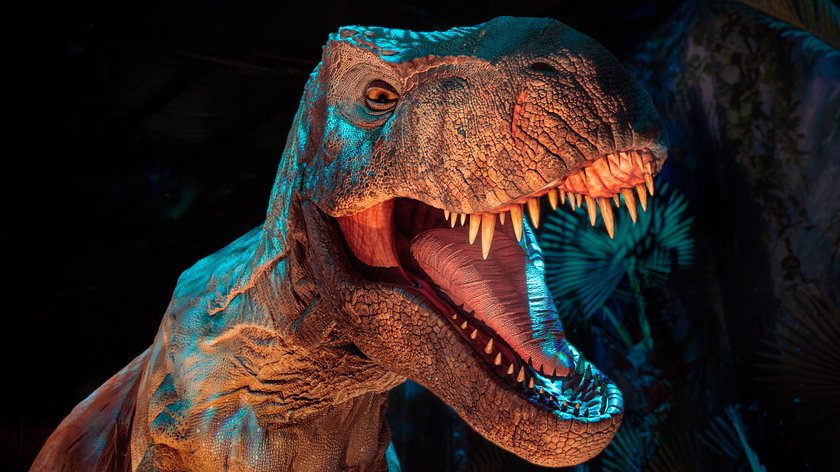 Dinos lvl 450