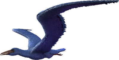 Pelagornis
